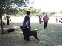 /album/fotogaleria-inicio4/a555abcdef-006-jpg6/